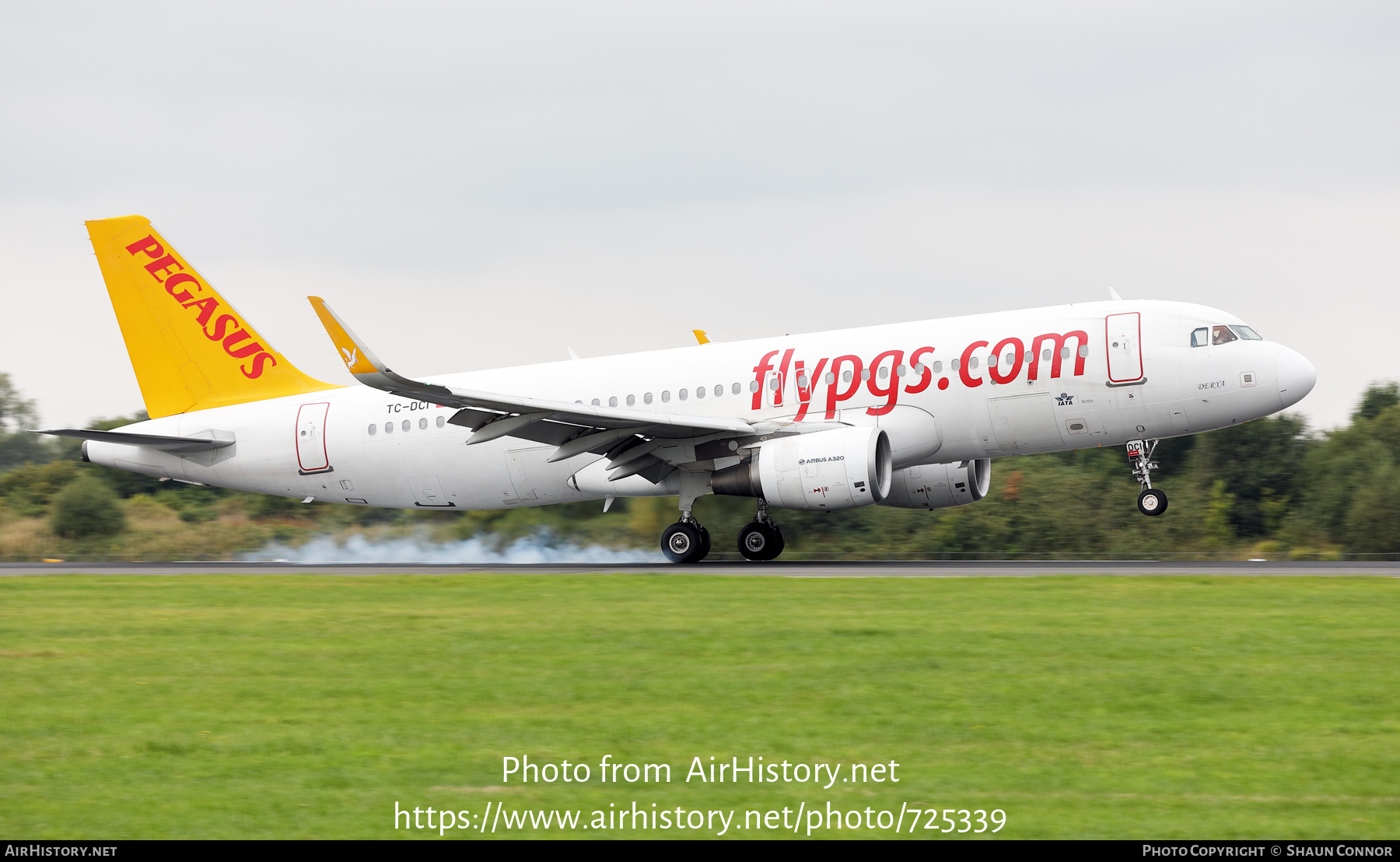 Aircraft Photo of TC-DCI | Airbus A320-216 | Pegasus Airlines | AirHistory.net #725339