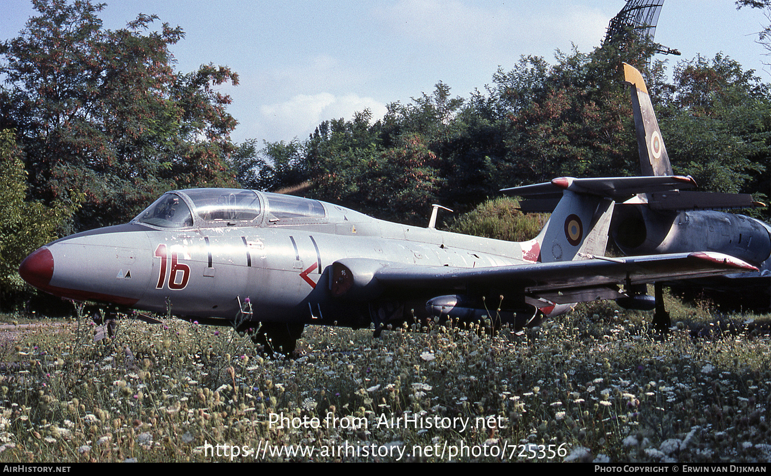 Aircraft Photo of 16 | Aero L-29 Delfin | Romania - Air Force | AirHistory.net #725356