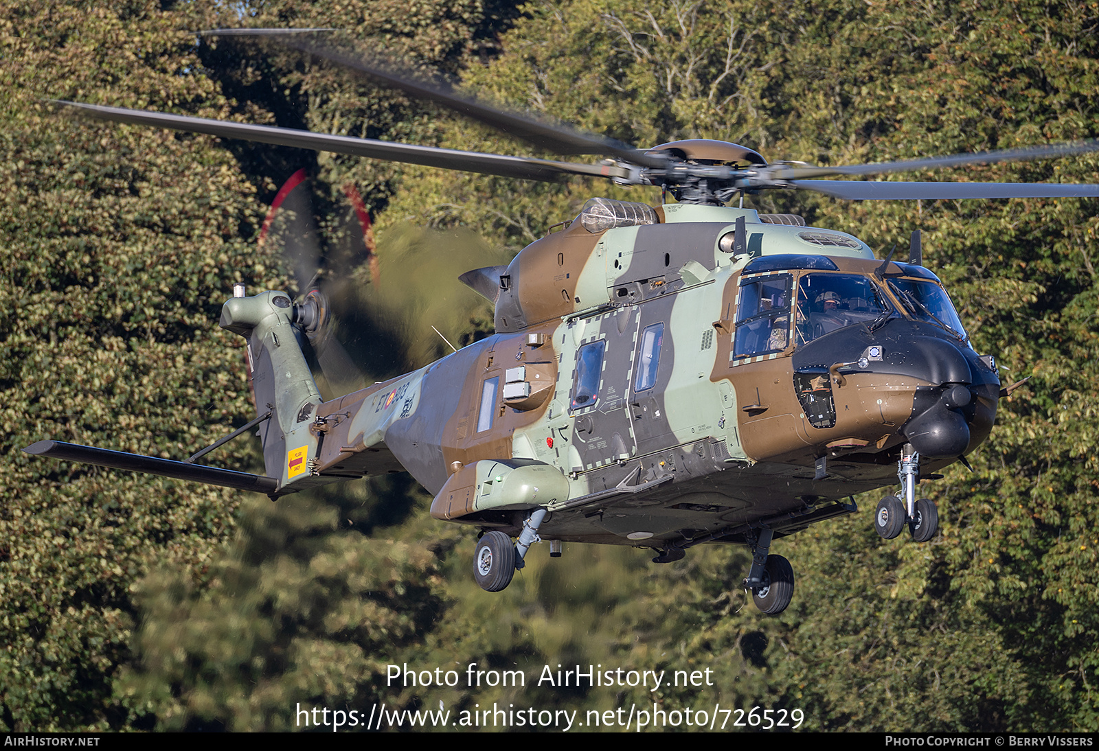 Aircraft Photo of HT.29-03 | NHI NH90 TTH | Spain - Army | AirHistory.net #726529