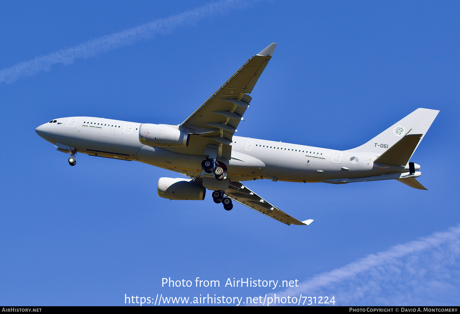 Aircraft Photo of T-061 | Airbus A330-243MRTT | Netherlands - Air Force | AirHistory.net #731224