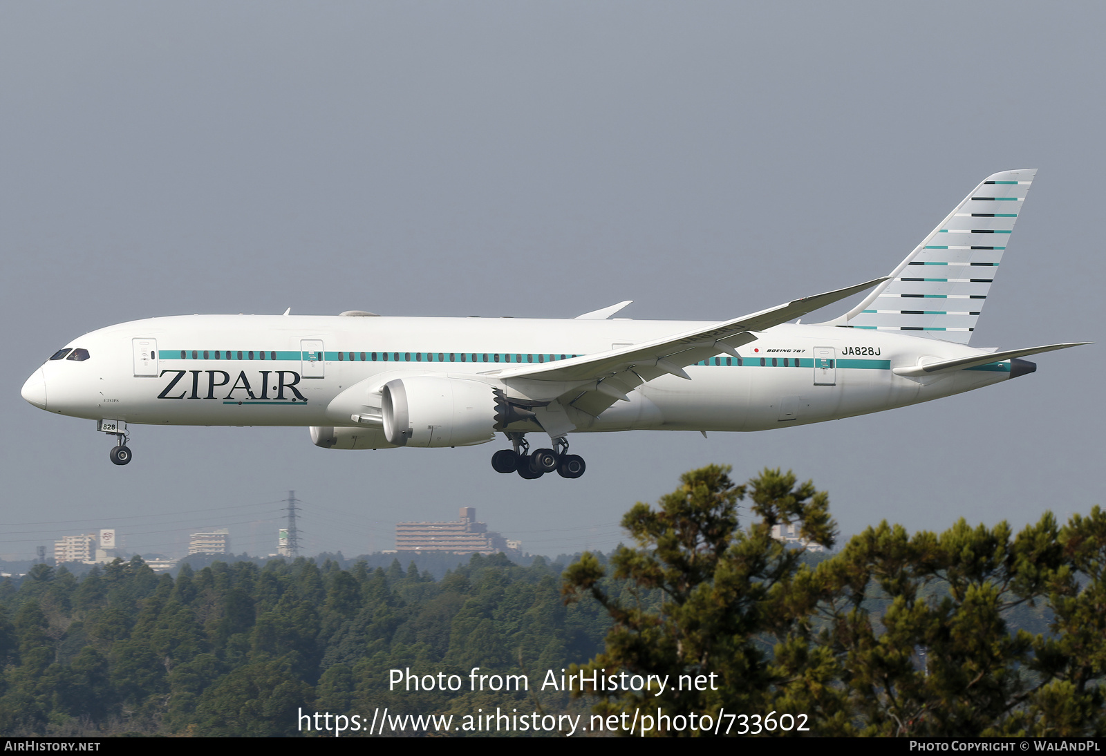 Aircraft Photo of JA828J | Boeing 787-8 Dreamliner | ZipAir | AirHistory.net #733602