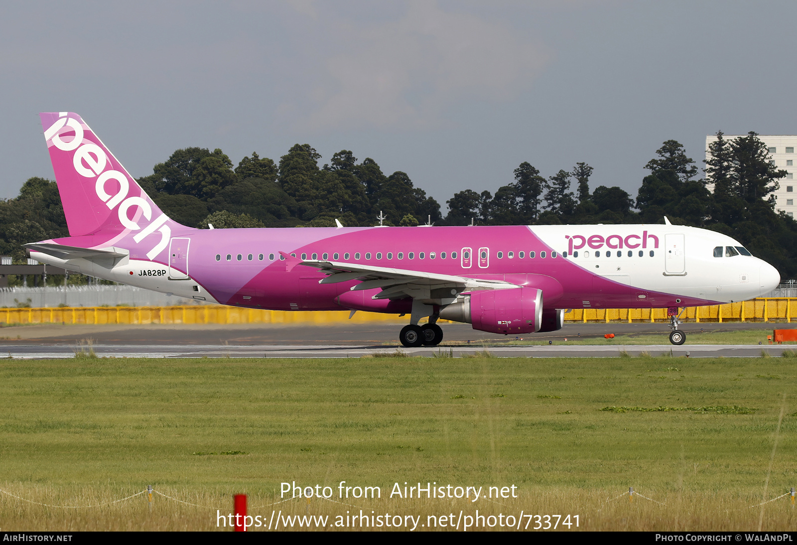 Aircraft Photo of JA828P | Airbus A320-214 | Peach Aviation | AirHistory.net #733741