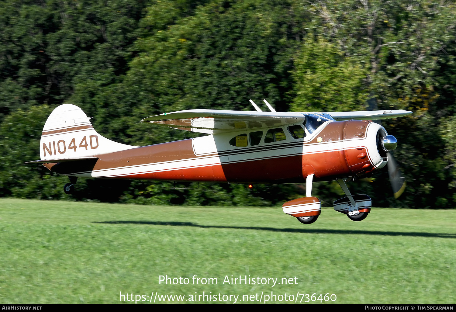 Aircraft Photo of N1044D | Cessna 190 | AirHistory.net #736460