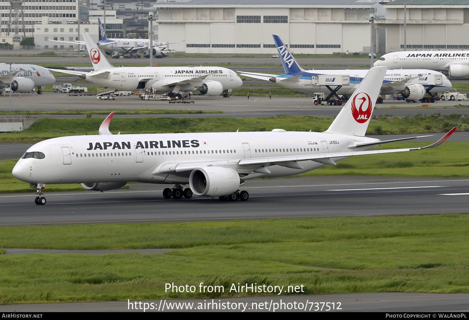 Aircraft Photo of JA16XJ | Airbus A350-941 | Japan Airlines - JAL | AirHistory.net #737512