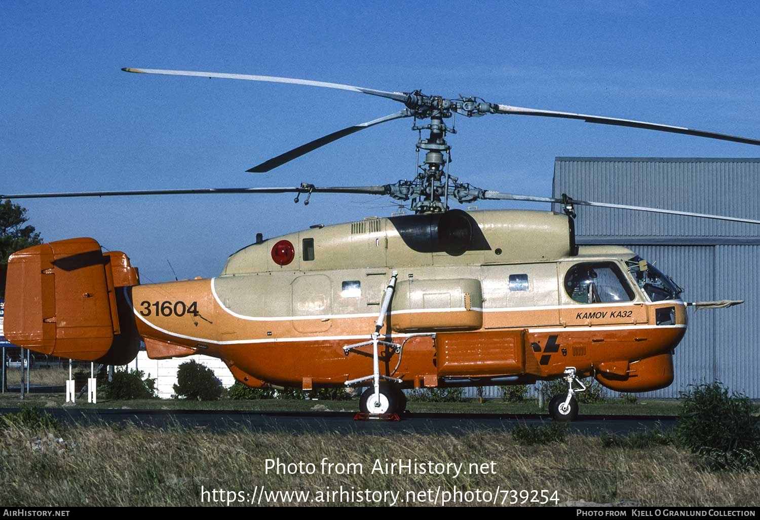 Aircraft Photo of RA-31604 / 31604 | Kamov Ka-32A11BC | Court Helicopters | AirHistory.net #739254