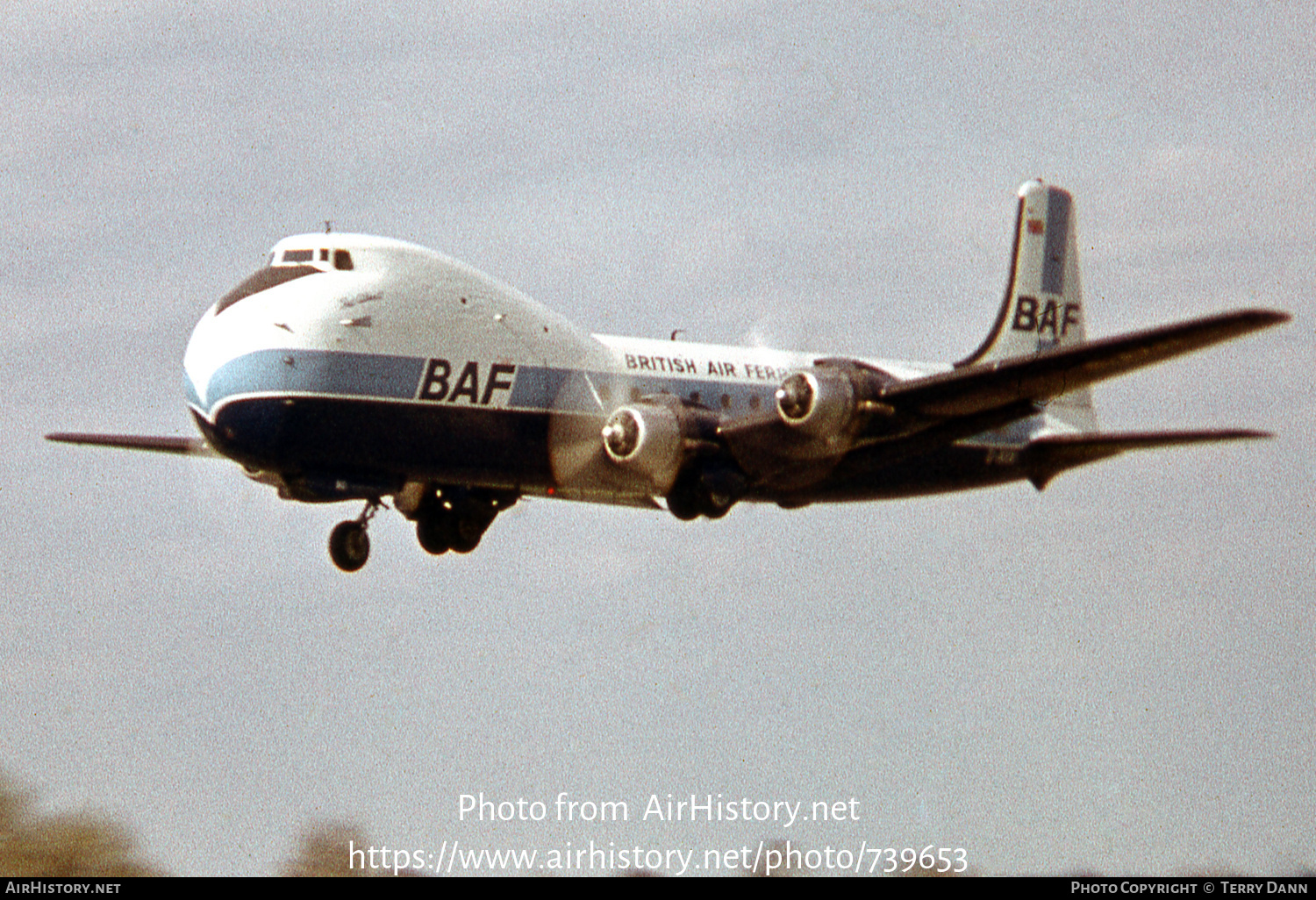 Aircraft Photo of G-AXAI | Aviation Traders ATL-98 Carvair | British Air Ferries - BAF | AirHistory.net #739653