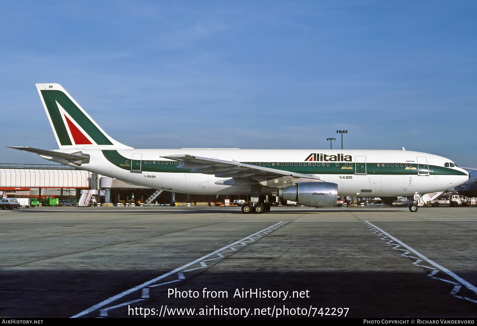 Aircraft Photo of I-BUSH | Airbus A300B4-203 | Alitalia | AirHistory.net #742297