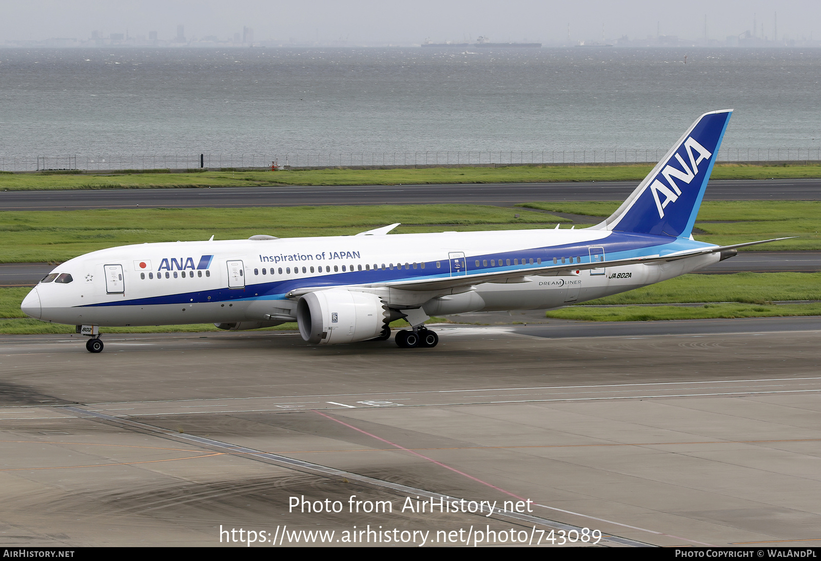 Aircraft Photo of JA802A | Boeing 787-8 Dreamliner | All Nippon Airways - ANA | AirHistory.net #743089