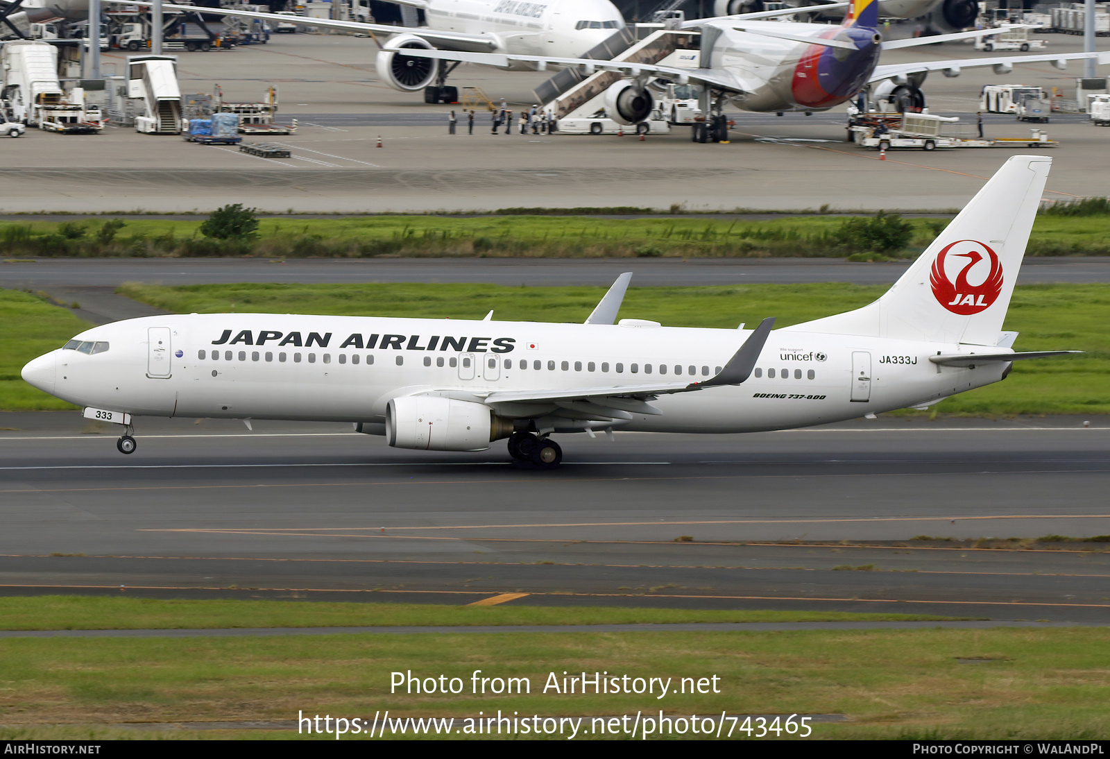 Aircraft Photo of JA333J | Boeing 737-846 | Japan Airlines - JAL | AirHistory.net #743465