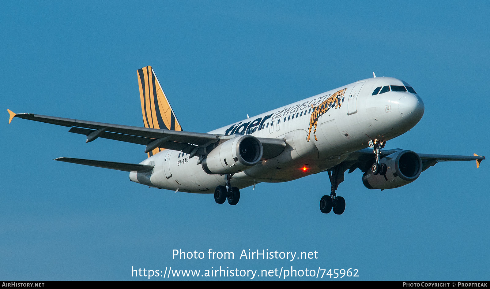 Aircraft Photo of 9V-TAE | Airbus A320-232 | Tiger Airways | AirHistory.net #745962