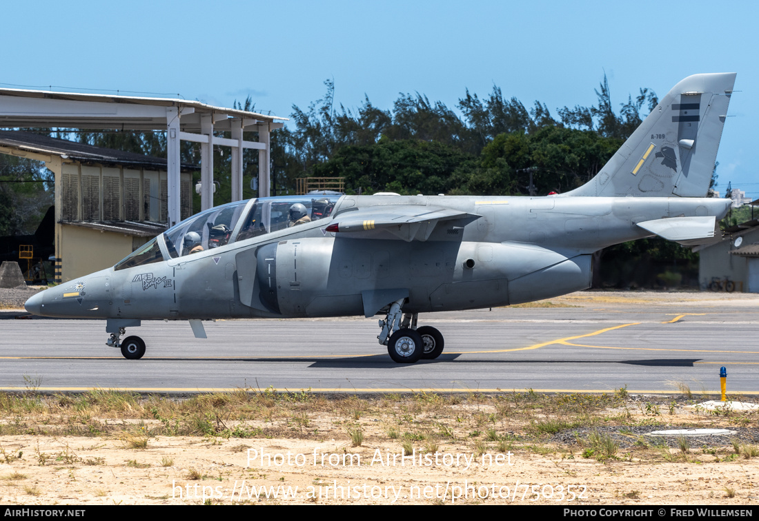 Aircraft Photo of A-709 | FAdeA IA-63 Pampa III | Argentina - Air Force | AirHistory.net #750352