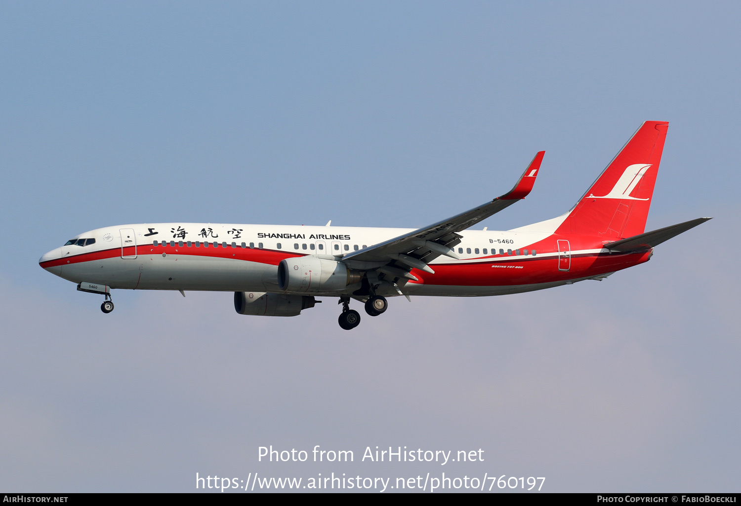 Aircraft Photo of B-5460 | Boeing 737-86D | Shanghai Airlines | AirHistory.net #760197