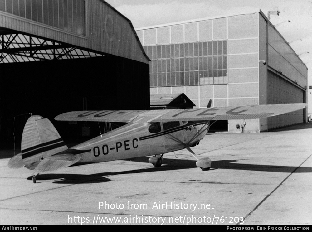 Aircraft Photo of OO-PEC | Cessna 170 | AirHistory.net #761203