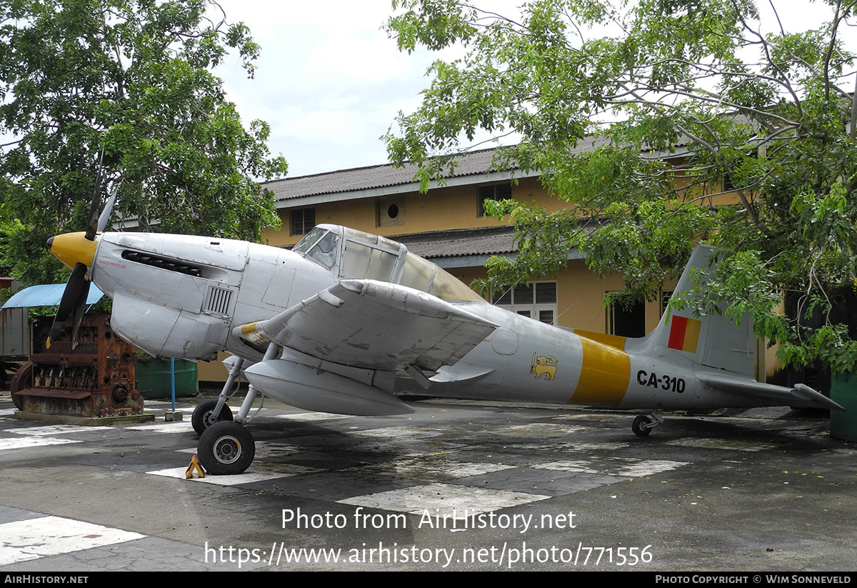 Aircraft Photo of CA310 | Boulton Paul P-108 Balliol T2 | Ceylon - Air Force | AirHistory.net #771556