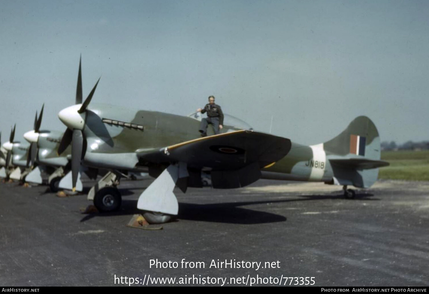 Aircraft Photo of JN818 | Hawker Tempest Mk5 | UK - Air Force | AirHistory.net #773355