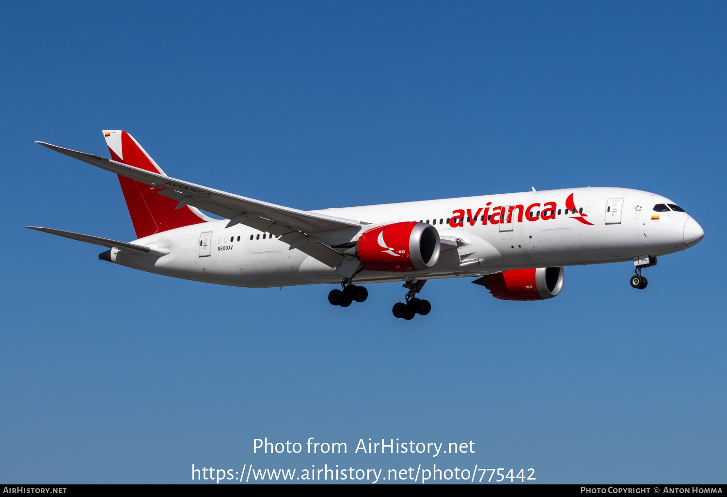 Aircraft Photo of N800AV | Boeing 787-8 Dreamliner | Avianca | AirHistory.net #775442