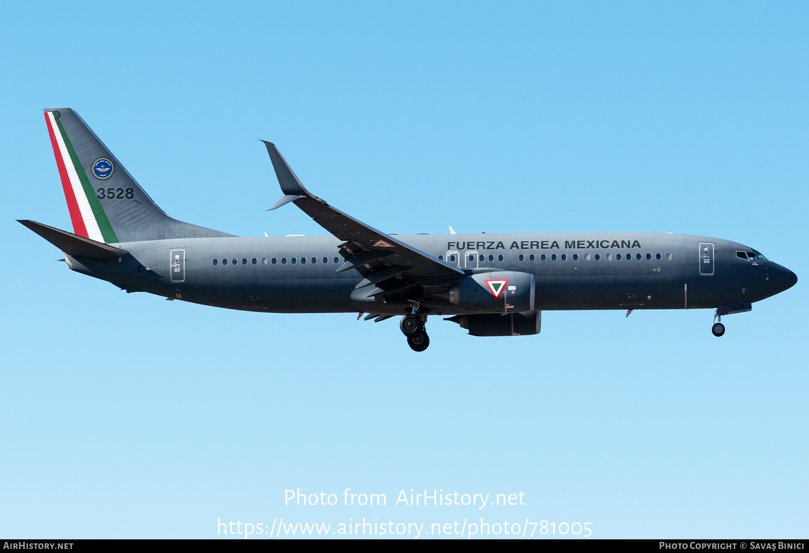 Aircraft Photo of 3528 | Boeing 737-800 | Mexico - Air Force | AirHistory.net #781005