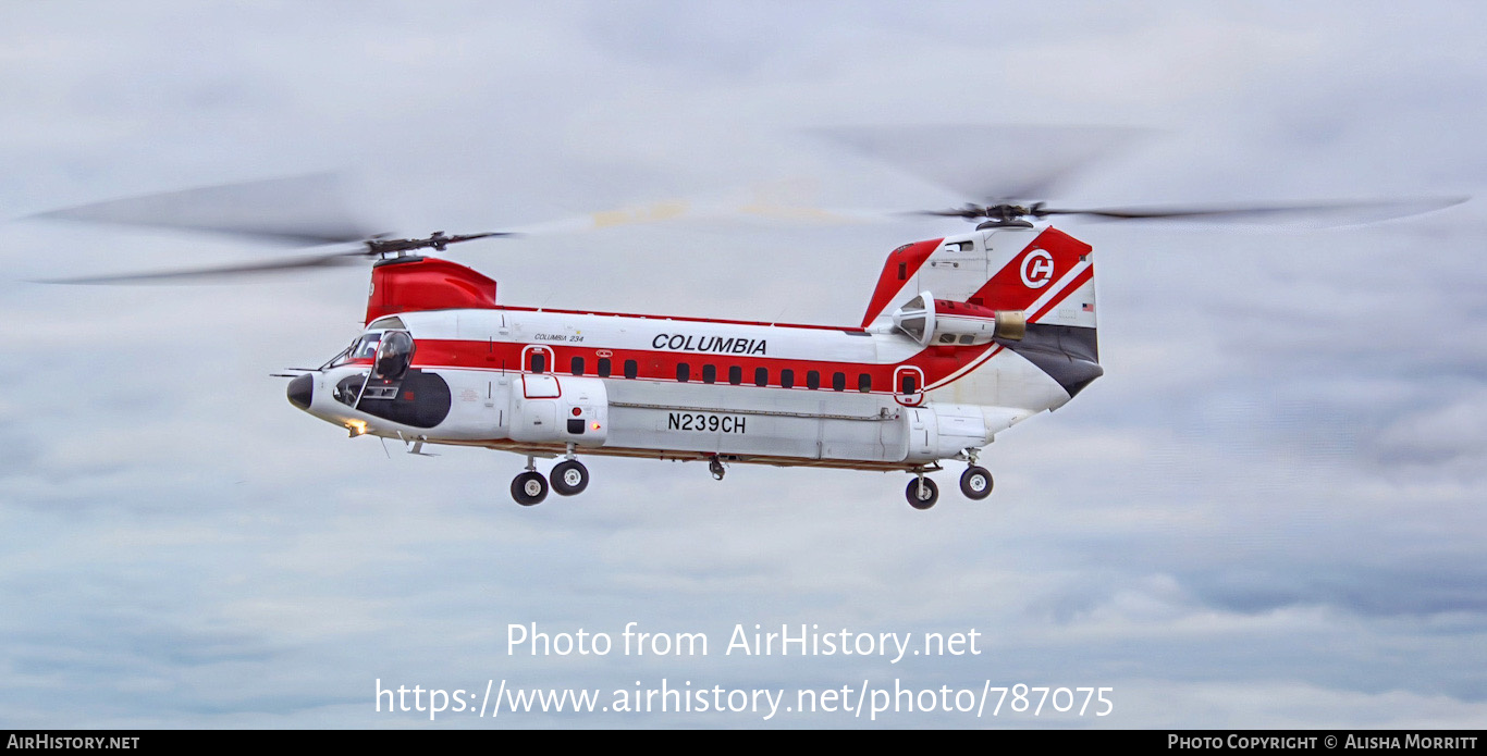 Aircraft Photo of N239CH | Boeing Vertol 234UT | Columbia Helicopters | AirHistory.net #787075