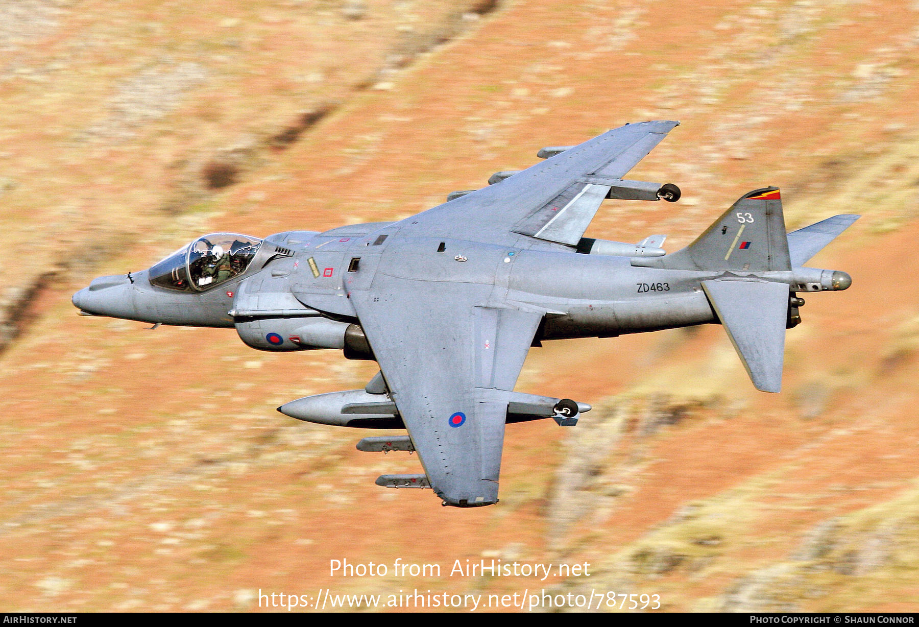 Aircraft Photo of ZD463 | British Aerospace Harrier GR7 | UK - Air Force | AirHistory.net #787593