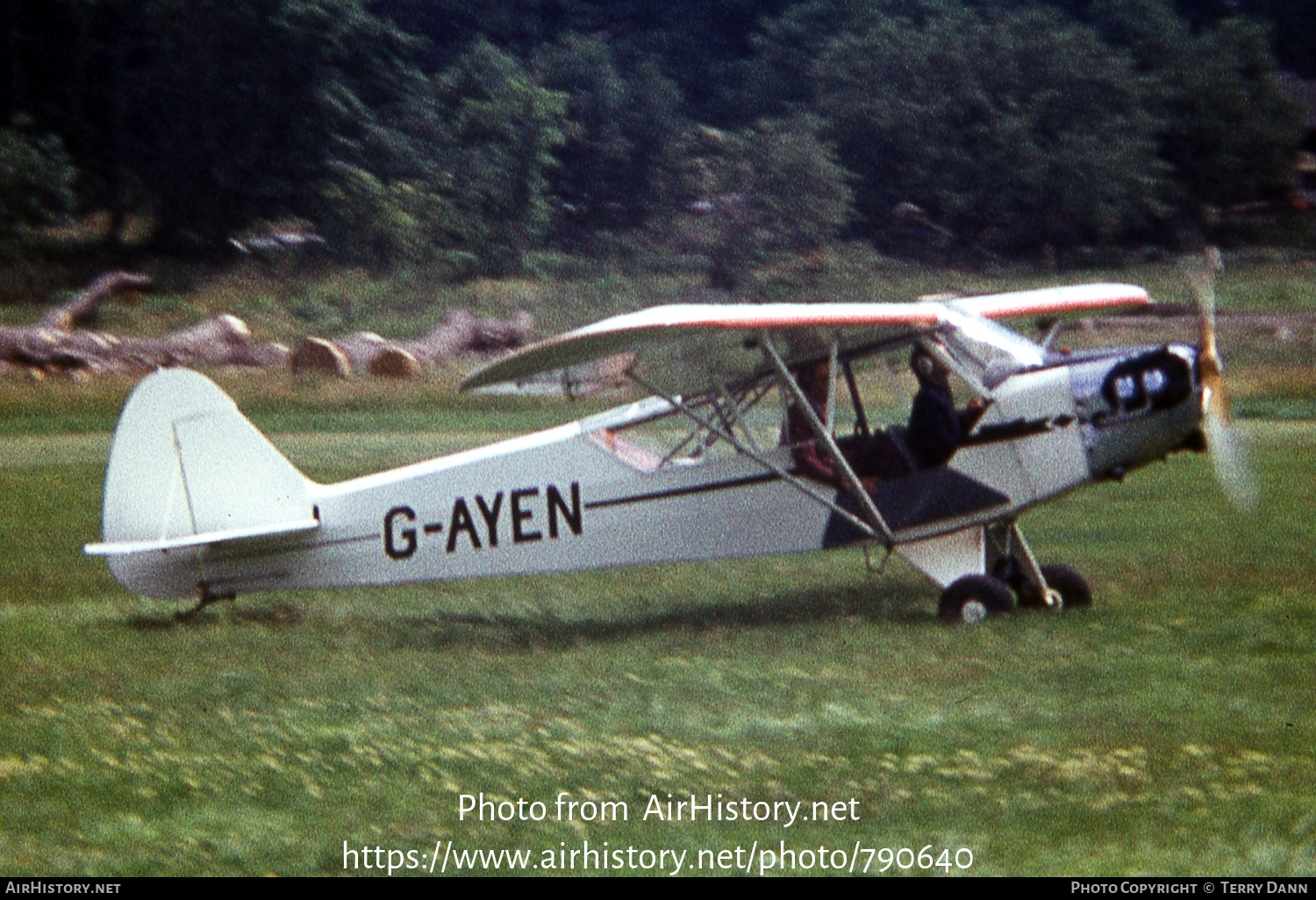 Aircraft Photo of G-AYEN | Piper J-3C-65 Cub | AirHistory.net #790640